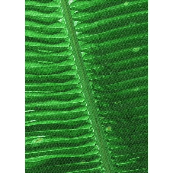 Ahgly Company Indoor Rectangle Patterned Green Area Rugs, 5' x 8'