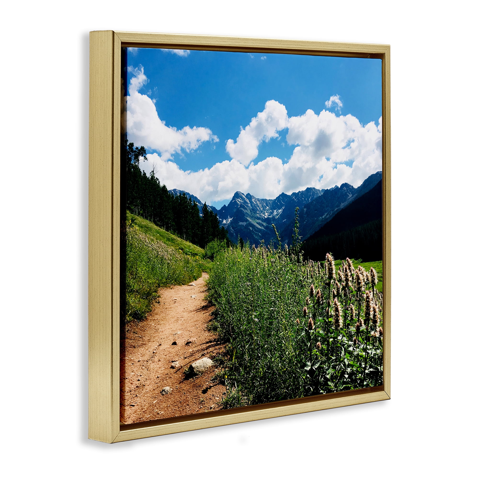 Stupell Industries Lovely Path with Clouds Landscape & Nature Photography Gold Floater Framed Canvas Art Print Wall Art, 25 x 25