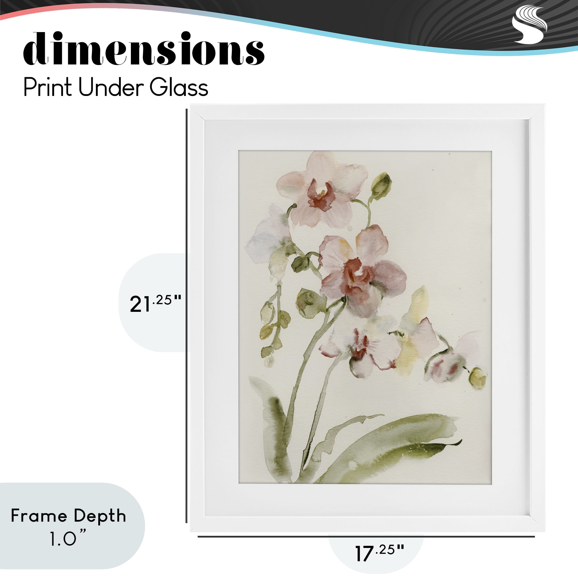 Stupell Industries Gentle Pink Orchid in Bloom White Framed Print Under Glass, design by Victoria Barnes