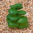 thumbnail image 3 of Plantas suculentas artificiales Matsuzay Paquete de 12 Color aleatorio, 3 of 6