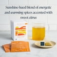 thumbnail image 4 of Rishi Tea Turmeric Ginger Herbal Tea - Organic Sachet Bags, 4 of 6
