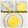 thumbnail image 2 of Esponja Facial Comprimida Lavado Facial Exfoliante Pack 36Pzs, 2 of 9