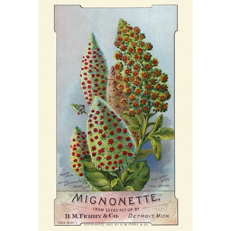 Ferrys Seed - Victorian trade card for a seed company DM Ferry & co showing the actual flowers you can grow Poster Print by unknown