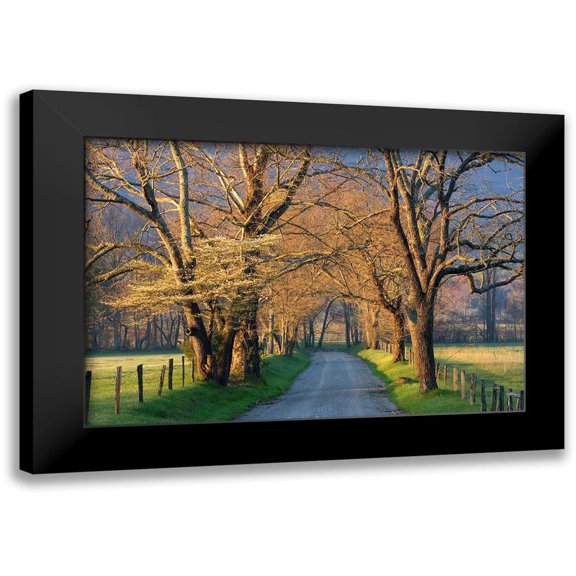 Jimmyz 14x11 Black Modern Framed Museum Art Print Titled - Sunset Path