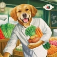 thumbnail image 2 of Fromm Four-Star Nutritionals Chicken A La Veg Dry Dog Food, 26-lb (Size: 26-lb), 2 of 8