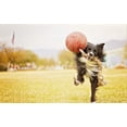 thumbnail image 2 of Jolly Pets Romp-n-Roll Rope and Ball Dog Toy, 4.5 Inches/Small, Red multicolor, 2 of 4