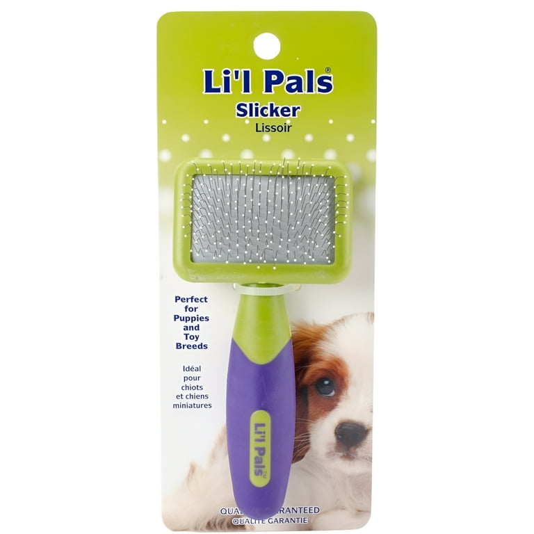 Lil pals brush hot sale