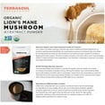 thumbnail image 4 of Terrasoul Superfoods Organic Lion's Mane Mushroom Powder (4:1 Extract), 5.5 Oz, 4 of 8