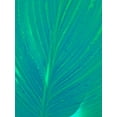 thumbnail image 2 of Grayscale 15x18 Gold Ornate Wood Framed with Double Matting Museum Art Print Titled - Blue Green Leaf I, 2 of 4
