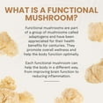 thumbnail image 6 of Charlotte's Web Focus Support Mushroom Gummies for Focus and Energy w/Lion’s Mane, Natural Cognitive Support Lions Mane Gummies for Adults — Tangerine Flavor (30 Servings), 6 of 9