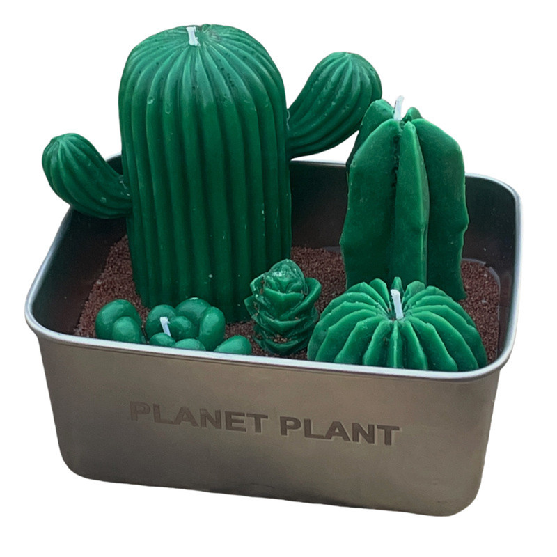 Realistic Cactus Scented Candle Gift with 4 Wick Design in Metal Base – Decorative Green Succulent Candle with Sand-Like Detail in Gift Box – Perfect for Holidays, Birthdays, Anniversaries & More