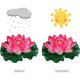 thumbnail image 3 of Flores de loto flotantes artificiales de 7 pulgadas, estanques de agua, hoja de loto de espuma, lirio falso para piscina, hogar, estanque, pecera esquí esquí Gafas de esquí, 3 of 5