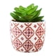 thumbnail image 1 of Suculentos artificiales Mini plantas falsas realistas con macetas de plástico para la decoración para hogar y de realistas de plástico fino Estilo3 Macarena Plantas suculentas falsas, 1 of 7
