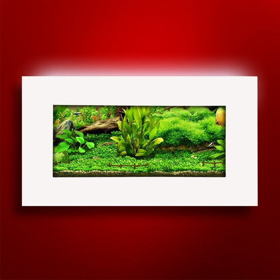 Aussie Aquarium View 2.0 Slim Wall Mounted Fish Tank Kit | 2 Gallon | LED Light | 4.5 inches Deep | All Hardware Included