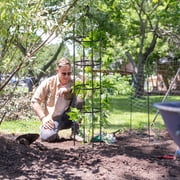 Garden Obelisk Trellis for Climbing Plants 6FT Rustproof PE Coated Iron Potted Plant Climbing Support, Thickened Tube Plant Tower Trellis for Clematis Vine Support Outdoor Indoor (2Pcs Set)