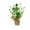 Green, variant on Ajauxi St. Patrick's Day Decor, Artificial Tabletop Tree with Shamrock Shaped Berries and Burlap Base Irish Decoration Artificial Clover Stems for Table Decor (22cm/8.7in)