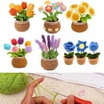 thumbnail image 2 of Lefu Beginners Crochet Flowers Kit Knitting Kit with Step-By-Step Tutorials DIY Craft, 2 of 5