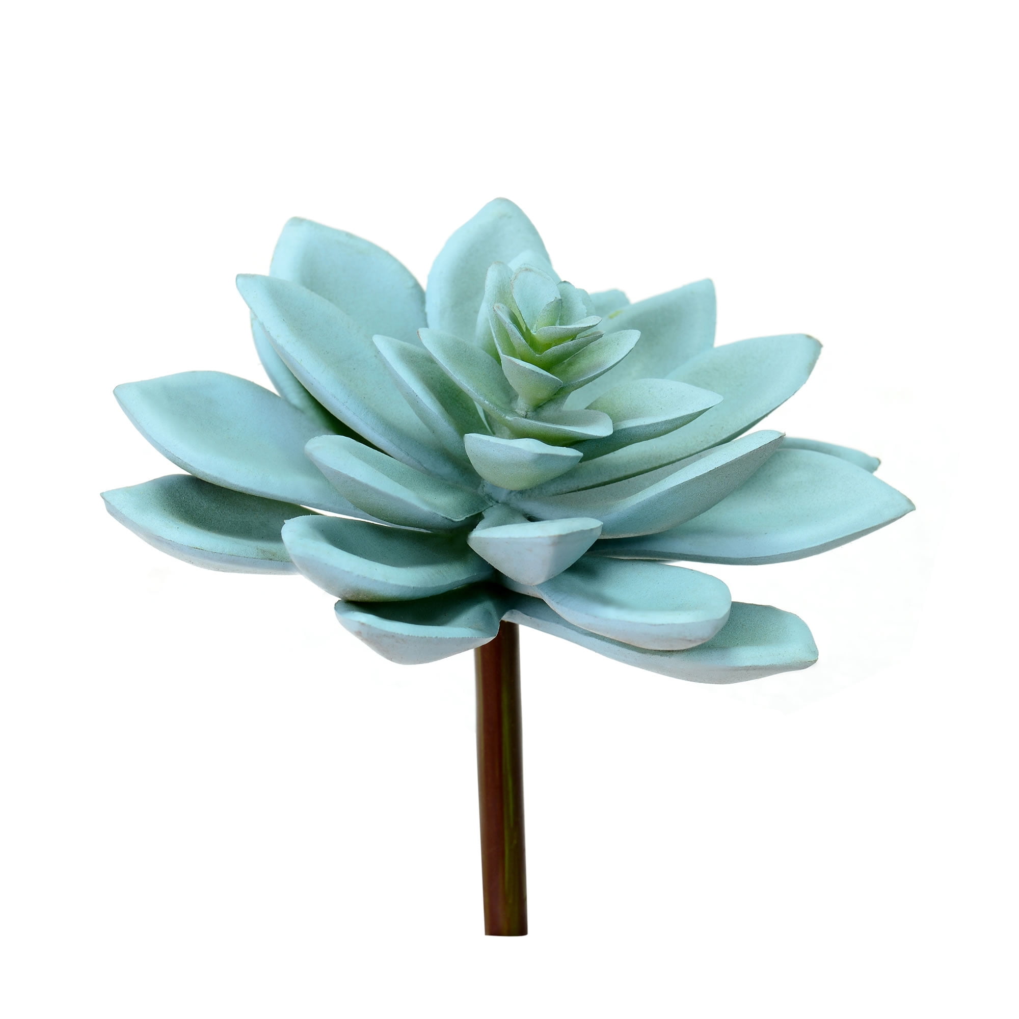 Vickerman Everyday 4.5' Indoor Artificial Green Graptoveria Titubans Pick - Unique Colorful Succulent Pick of Durable PVC - Maintenance Free - 3 per pack