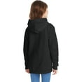 thumbnail image 5 of Hanes Boys EcoSmart Fleece Pullover Hoodie Sweatshirt, Sizes 4-18, 5 of 13