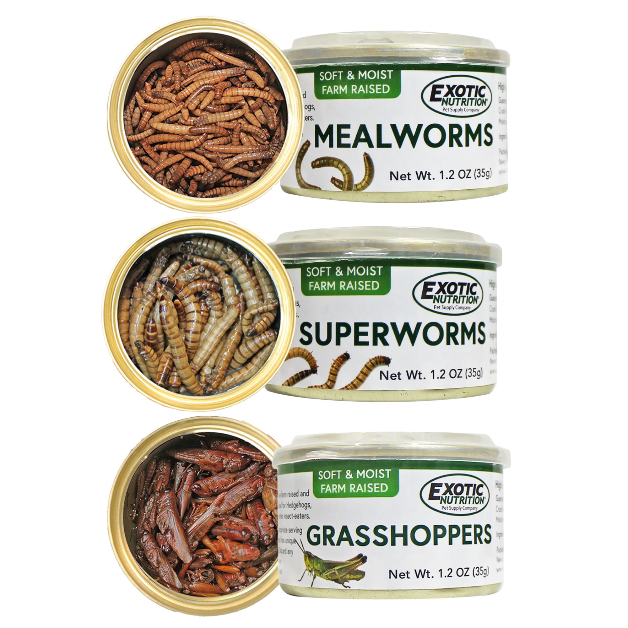 Canned Insect Assortment (3 Pack)- Healthy High Protein Insect Treat for Hedgehogs, Sugar Gliders, Reptiles, Wild Birds, Chickens, Lizards, Bearded Dragons, Skunks, & Other Small Animals