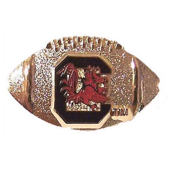 south carolina football pin