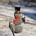 Bird Wild Feeders Hanging Bird Bird Snowman Squirrel Proof Bird Feeders