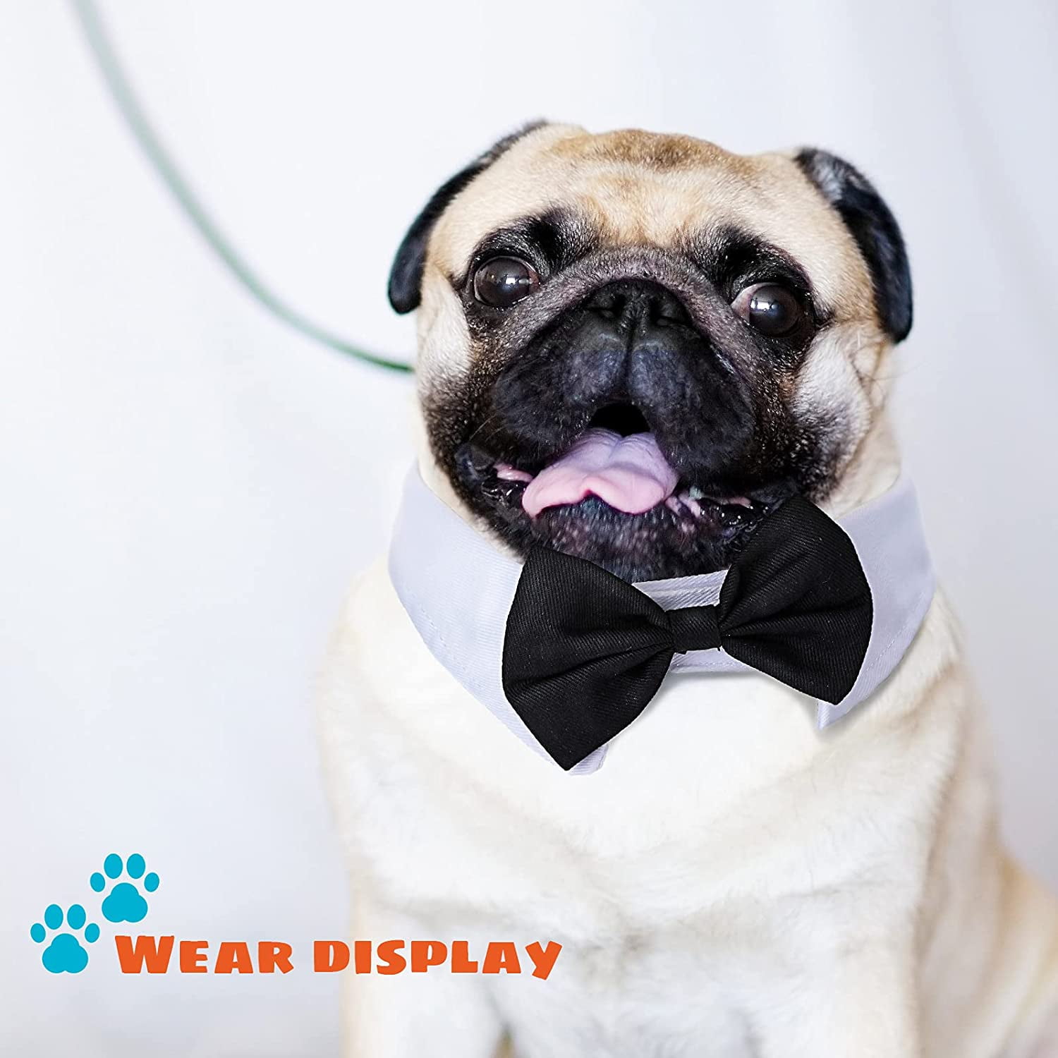 dog bow tie wedding