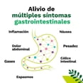 thumbnail image 3 of Iberogast mezcla de plantas solución oral 50 ml jarabe, 3 of 4