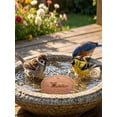 thumbnail image 4 of Bird Bath Copper Disc,0.6mm Reinforced 99.99% Pure Copper Cleaning Disk for Physical Safe Clean Water for Outdoor Birdbaths, 4 of 4