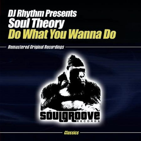 DJ Rhythm Presents Soul Theory - Do What You Wanna Do (What's The Best Dj Controller)