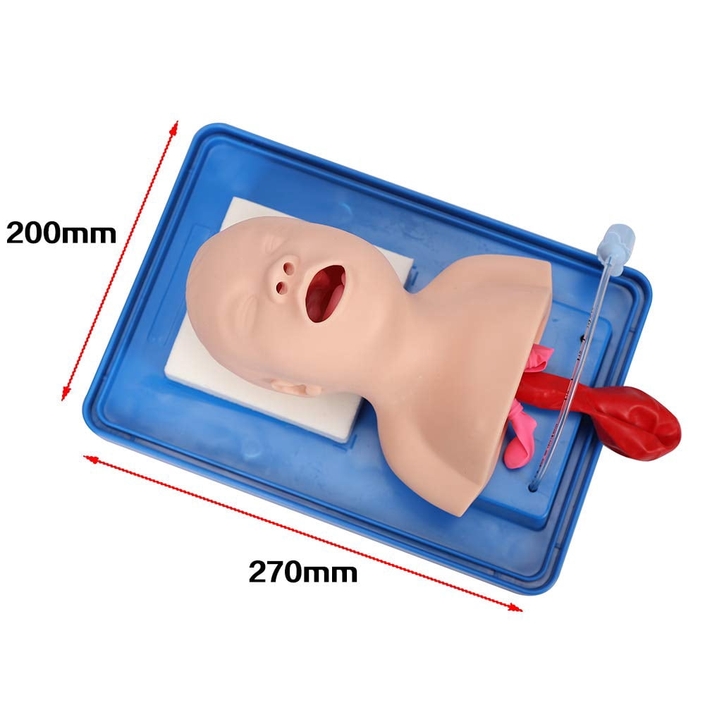 FETCOI Intubation Manikin Study Teaching Model, 220V Oral Nasal Intubation Airway Management Trainer PVC Demo (Newborn)