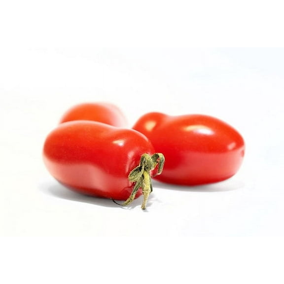 Tomato SEEDS -20 Seeds -San Marzano Roma Tomato -Good for Sauce- Fresh- Freezing