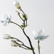 thumbnail image 5 of Flores de magnolia de EVA: realzan la belleza de los hogares, 5 of 7