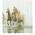 thumbnail image 3 of Ambesonne White Shower Curtain, Camargue Horses in Water, 69"Wx84"L, White Beige, 3 of 5