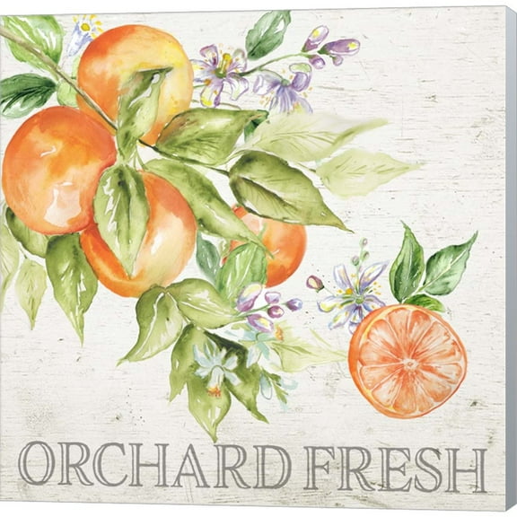 Great Art Now Lemon Grove IV by Tre Sorelle Studios, Canvas Wall Art, 12W x 12H