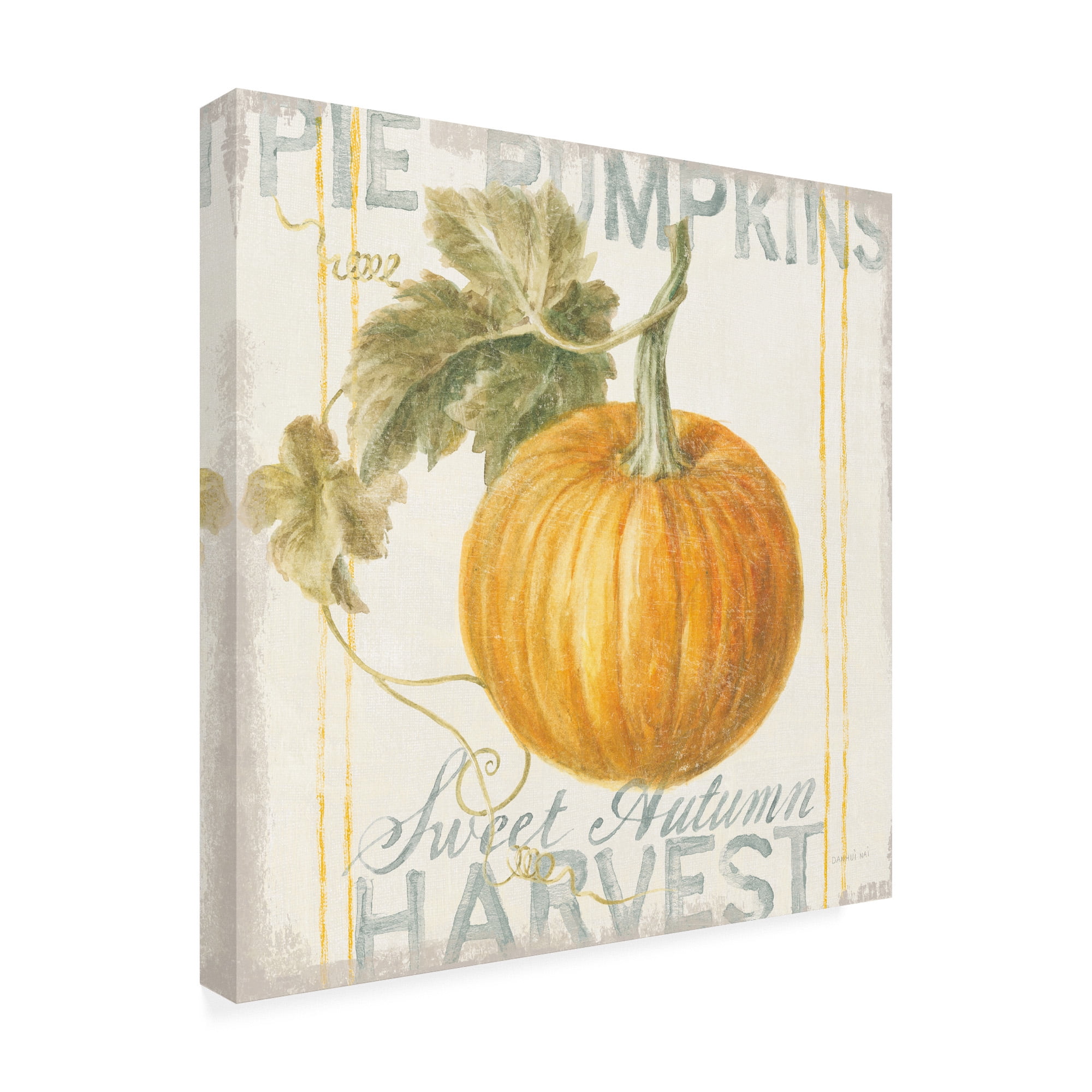 Trademark Fine Art 'Floursack Autumn VI' Canvas Art by Danhui Nai