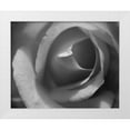 thumbnail image 3 of Scott Larson 4x24 White Modern Wood Framed Wall Art Titled - Single Rose II, 3 of 5