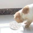 thumbnail image 5 of Plato de alimentación lenta para gatos y cachorros: diseño de estanque de peces, interacción divertida, 5 of 5