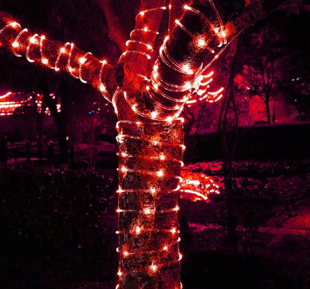 Rope String Lights, 12M/39ft 100LED Waterproof 8 Mode/Remote Battery Christmas Lights,Battery Powered String Lights Outdoor Indoor for Christmas Decorations