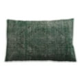 thumbnail image 1 of Ahgly Company Outdoor Rectangular Mid-Century Modern Lumbar Throw Pillow, 13 inch by 19 inch, 1 of 5