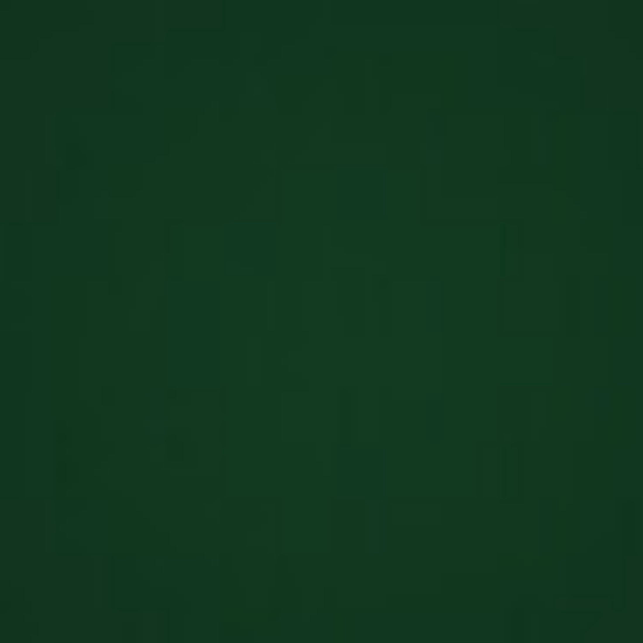 Waverly Inspirations 2 Yard Cut 100% Cotton Solid Fabric, Evergreen, 44" Wide for Quilting & Sewing