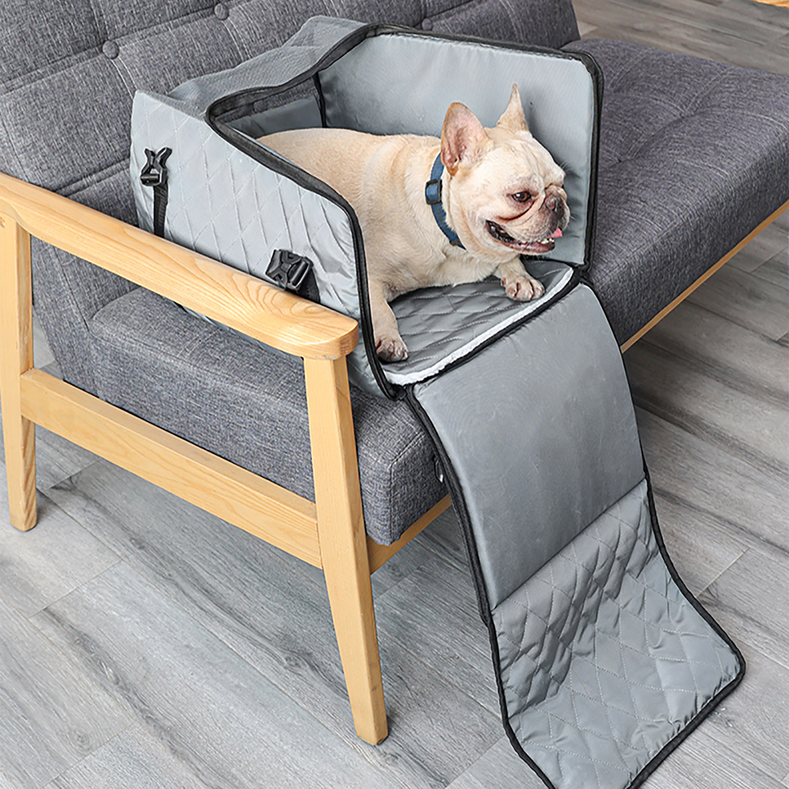 car seats for dogs at walmart