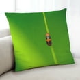 thumbnail image 1 of Ahgly Company Insects Lady Bug Coussin Intérieur, 18 Pouces par 18 Pouces, 1 of 6