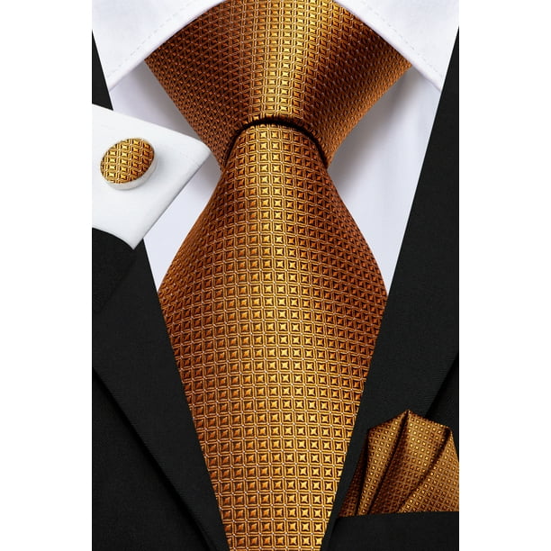 HiTie Designer Bronze Ties for Men Silk Formal Party Brown Necktie Set