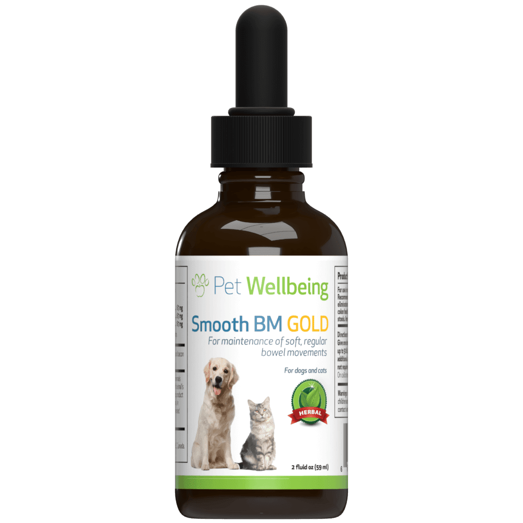 dog constipation relief