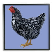 Striped Farm Chicken Over Purple Smiling Bird Animals & Insects Framed Art Print Wall Art, 17x17