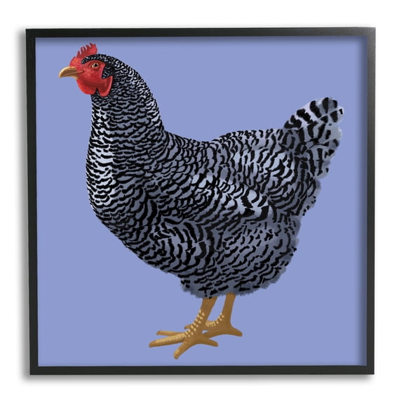 Striped Farm Chicken Over Purple Smiling Bird Animals & Insects Framed Art Print Wall Art, 17x17