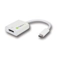 thumbnail image 1 of Adaptateur USB-C 3.1 vers DisplayPort1.2, 1 of 2