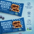 thumbnail image 4 of Nature's Bakery Fig Bar Variety Pack (2 oz., 24 pk.), 4 of 8