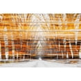 thumbnail image 3 of Parvez Taj  - Orange Striped Sky Painting Print on White Wood 36 x 24, 3 of 5